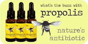 Propolis - Natures Antibiotic