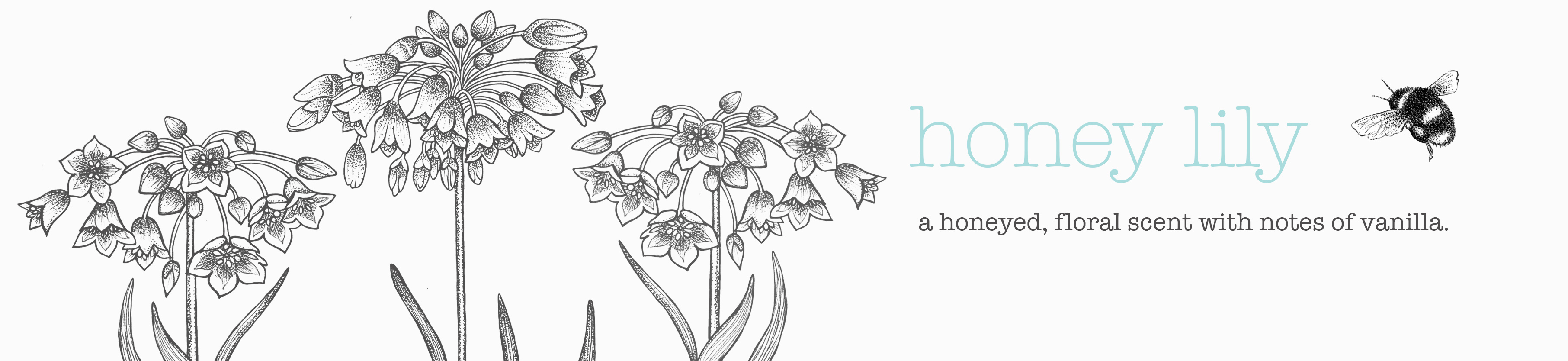 Honey Lily
