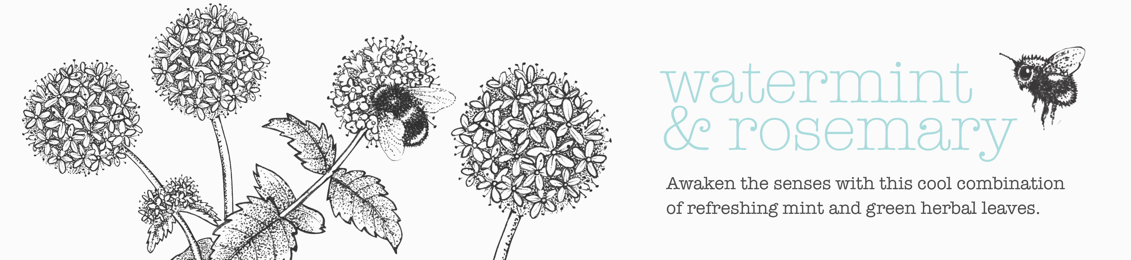 Watermint & Rosemary