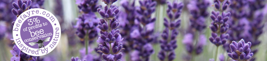 Lavender & Geranium