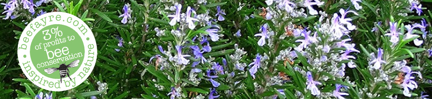 Rosemary & Neroli