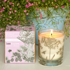 Rhubarb & Raspberry Large Scented Candle