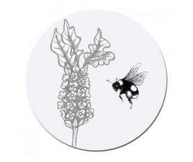 Lavender Coaster