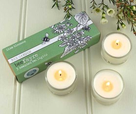 Lime Blossom Tea Lights