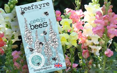 Seeds for Bees