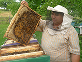 Bee Keeper