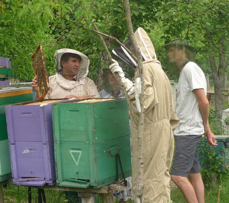 Bee Keepers